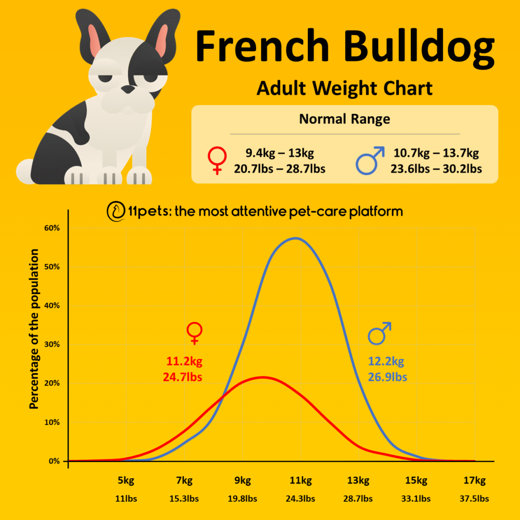 Feeding Your French Bulldog Puppy Ultimate Guide & Tips