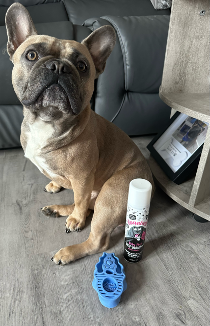 Baby shampoo for french bulldog sale