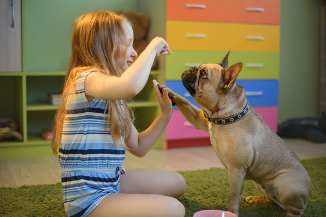 French bulldog and store children