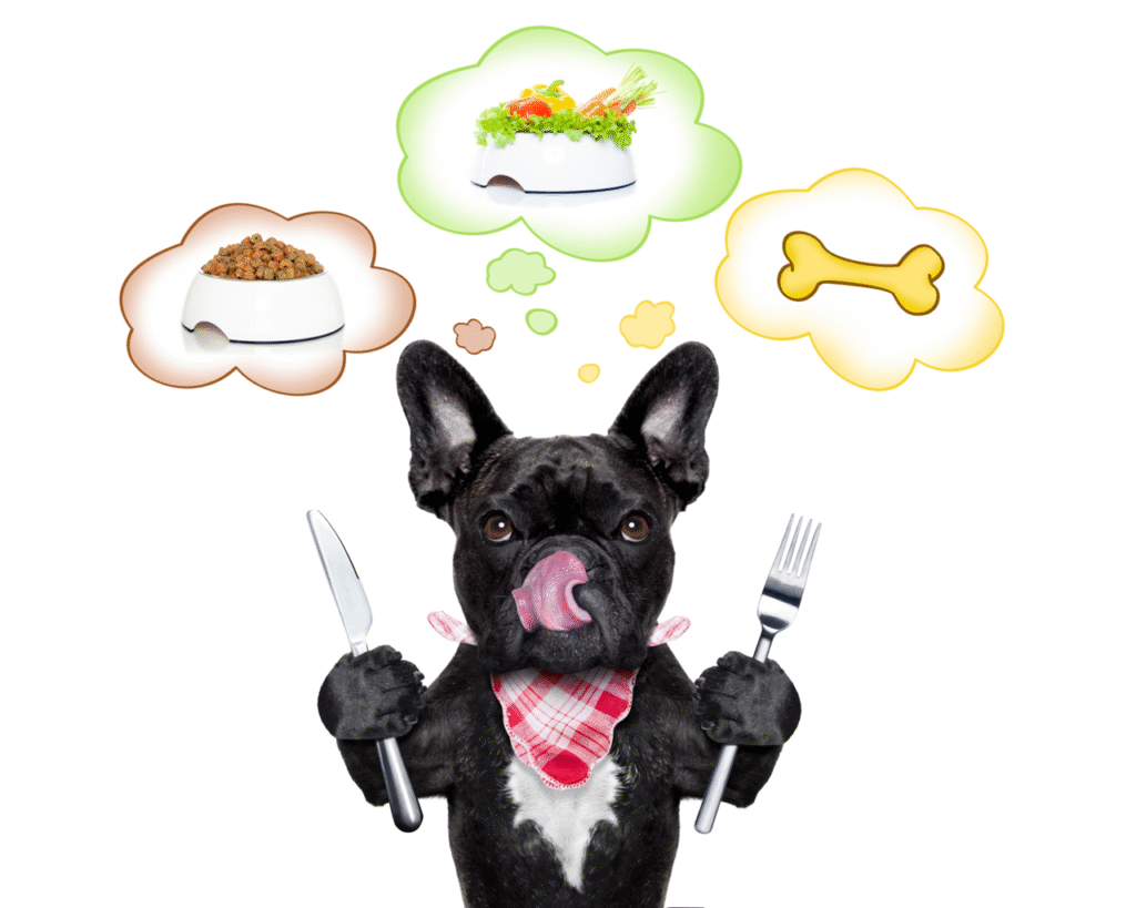 French bulldog human food hotsell