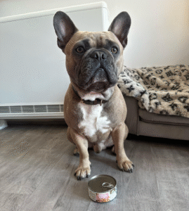 Applaws Taste Topper Dog Food Review - Top Frenchie