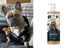 Bugalugs One in a Million Shampoo - Honest Review - Top Frenchie