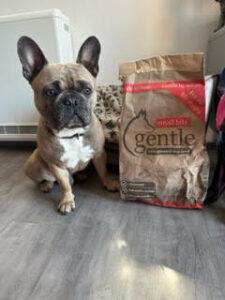 Gentle Cold Pressed Kibble Review - Top Frenchie