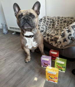 Naturediet Feel Good Dog Food Review